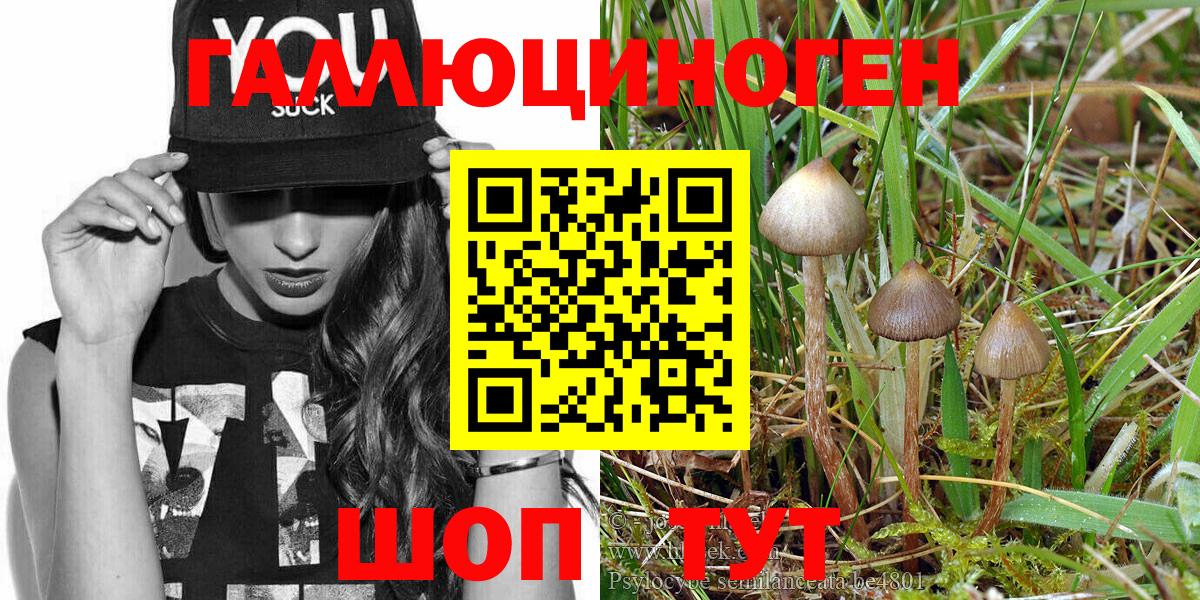 Галлюциногенные грибы MAGIC MUSHROOMS  Вход с VPN  Воскресенск 